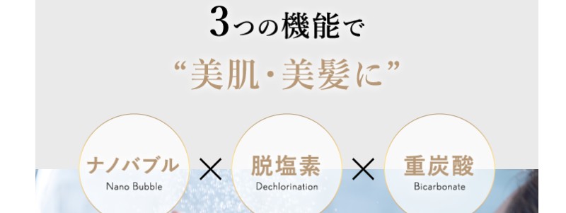 �h�����e�h���Ԃ�REbuild�i���r���h�j�V�����[�w�b�h���T�C�g